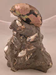 Discoscaphites cf. D. gulosus 