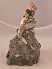 Discoscaphites cf. D. gulosus 