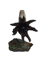 Patrick (Hoploscaphites Spedeni) - LPFossils